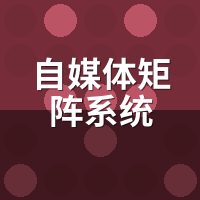 自媒体矩阵系统能管多少号？我实测上限看这里